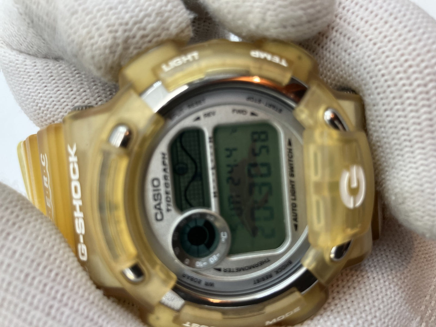 Casio G-SHOCK DW-8600K Dolphin and Whale Conference Model Watch Titanium Back ICERC Limited