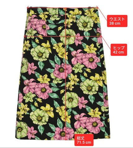 BALENCIAGA Floral Skirt Size 36 Cotton Black Multicolor Made in Italy