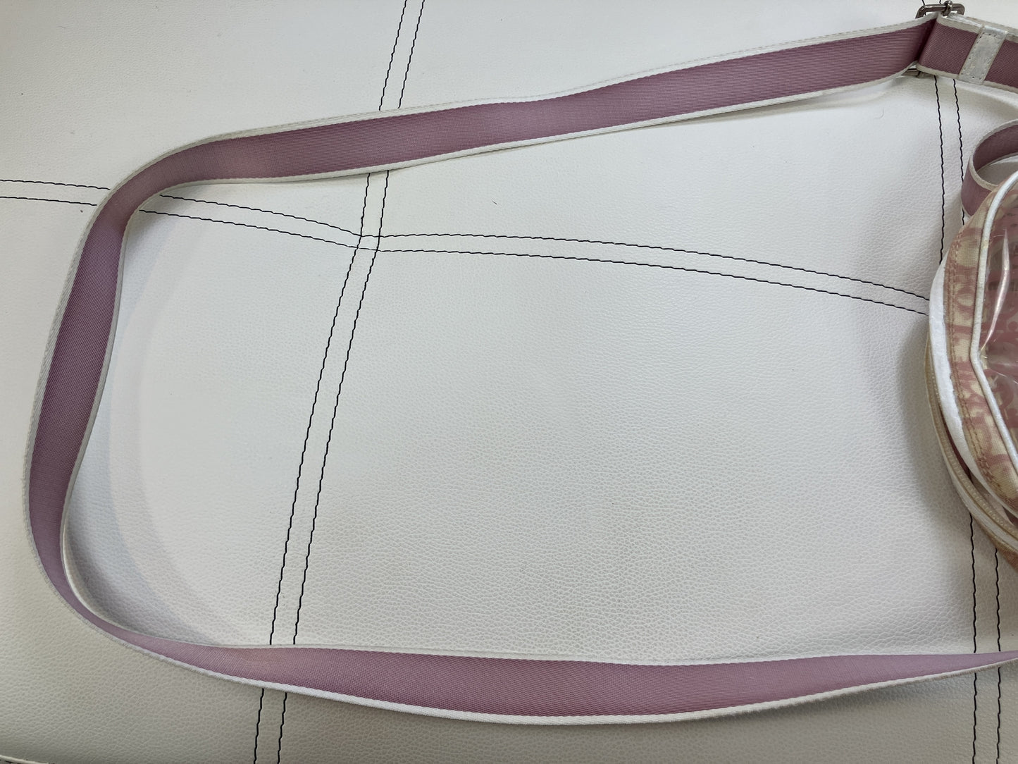 Christian Dior Trotter Pink Clear PVC Shoulder Bag with Drawstring Pouch
