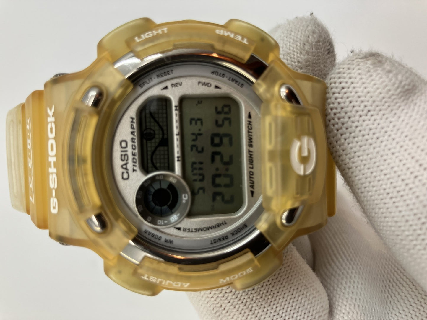 Casio G-SHOCK DW-8600K Dolphin and Whale Conference Model Watch Titanium Back ICERC Limited