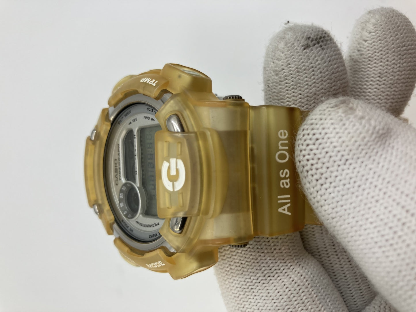 Casio G-SHOCK DW-8600K Dolphin and Whale Conference Model Watch Titanium Back ICERC Limited