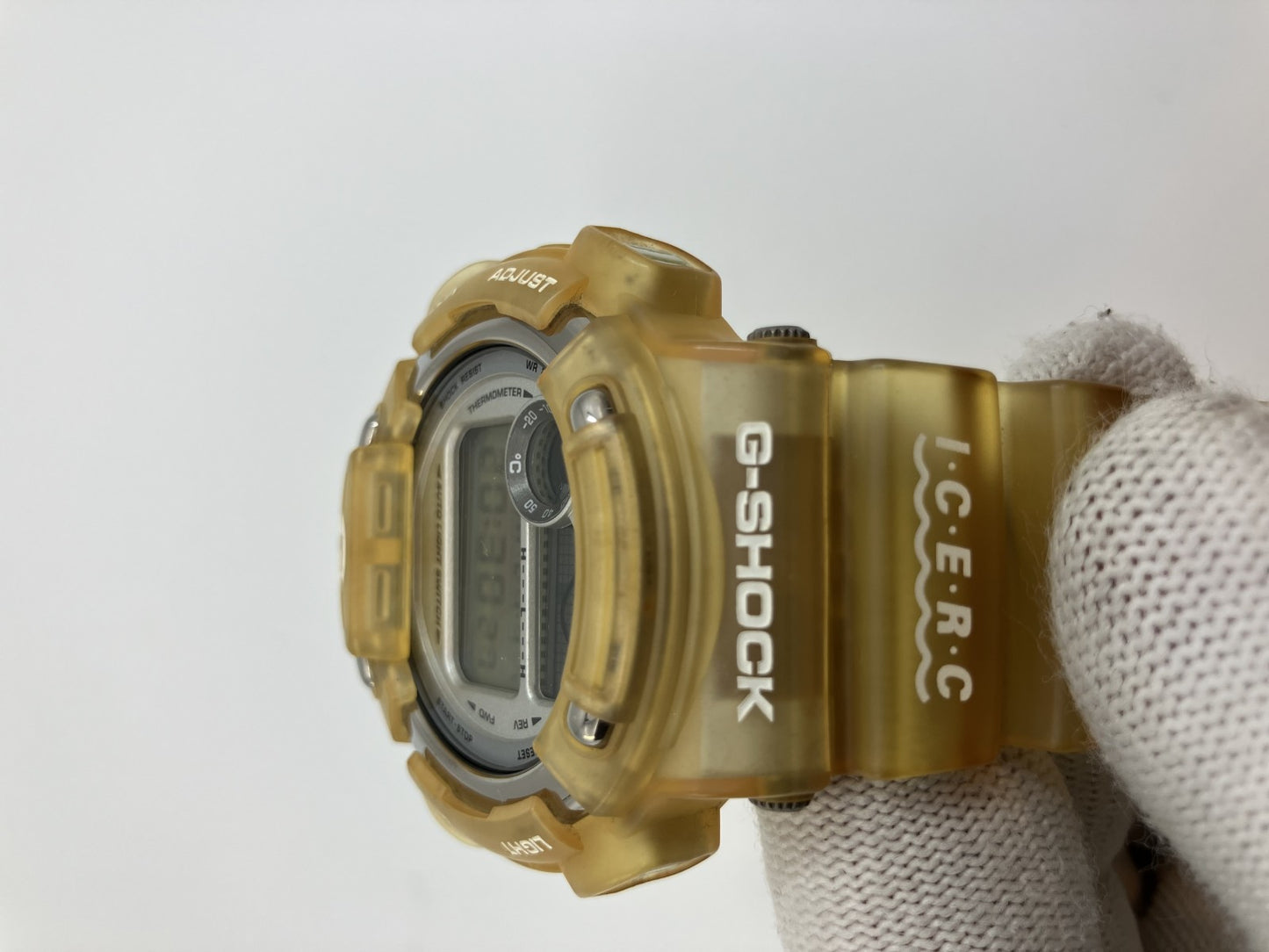 Casio G-SHOCK DW-8600K Dolphin and Whale Conference Model Watch Titanium Back ICERC Limited