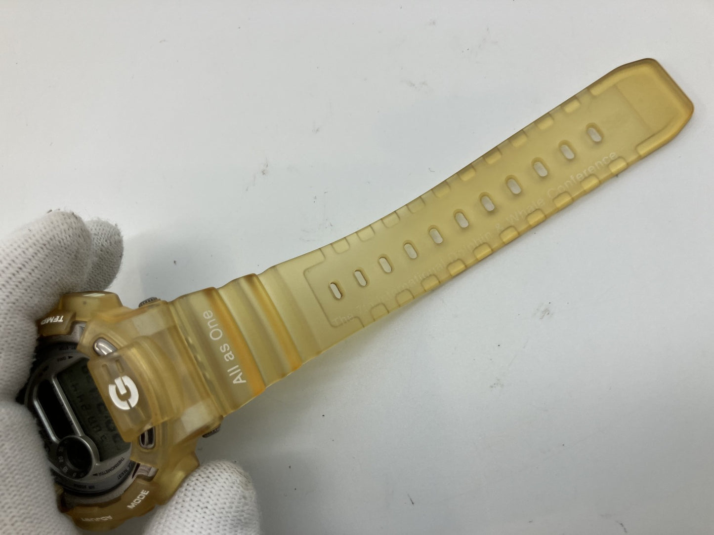 Casio G-SHOCK DW-8600K Dolphin and Whale Conference Model Watch Titanium Back ICERC Limited