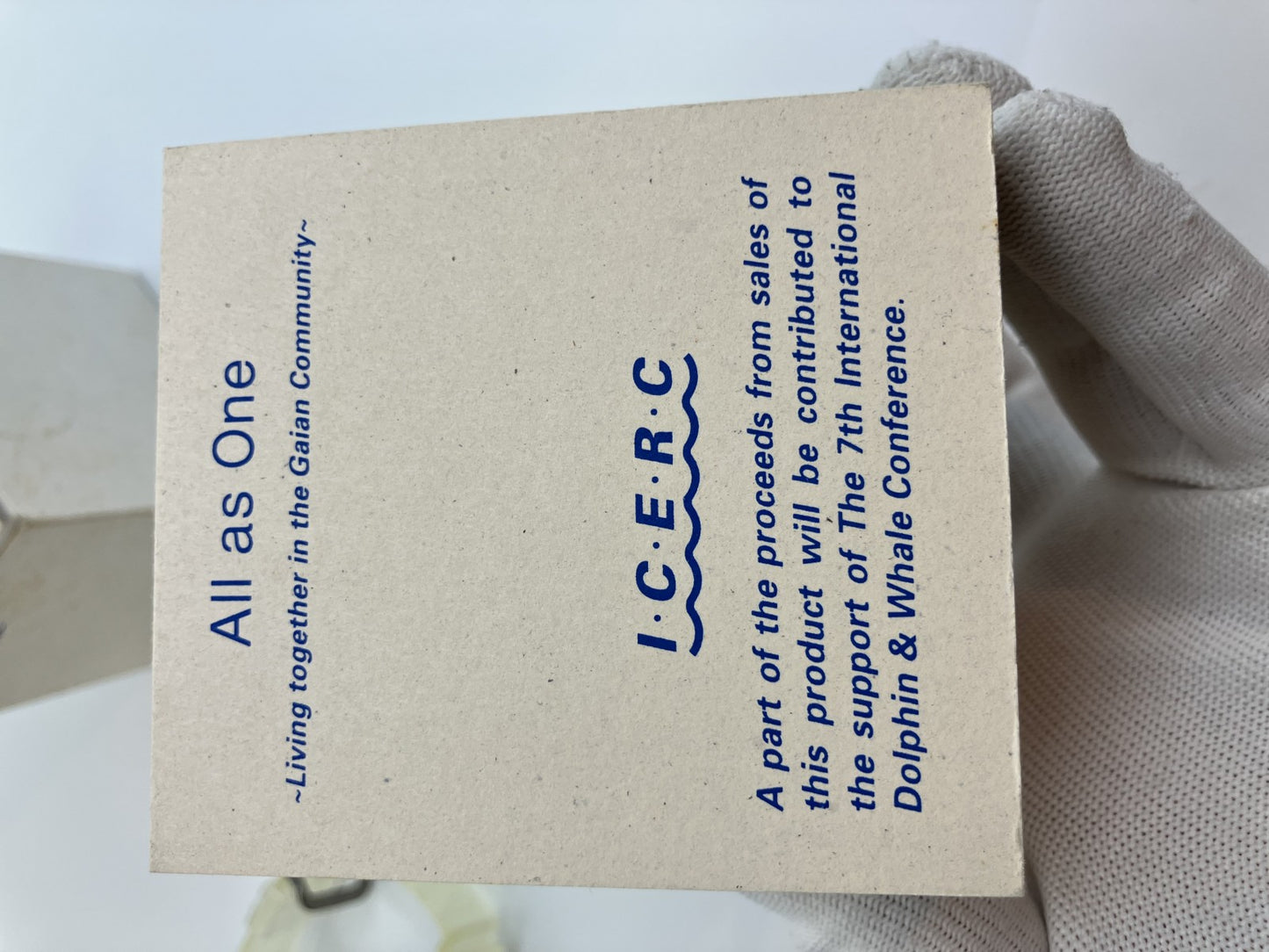 Casio G-Shock DW-8600K ICERC 1998 Whale Conference Model Titanium Back Box and Manual Included