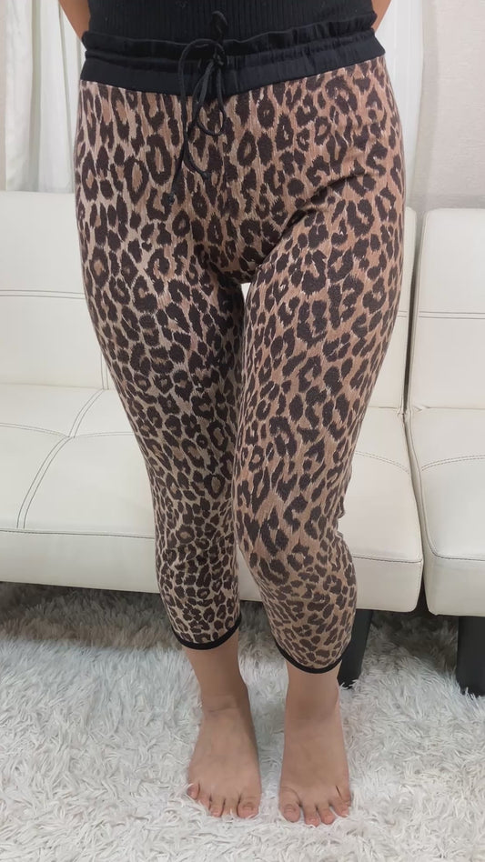 Dolce & Gabbana Leopard Print Leggings Pants Stretch Cropped Size L